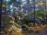 2016-10-09 Les gorges d Apremont 0021